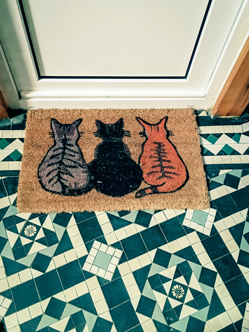 Cat Floor Mat