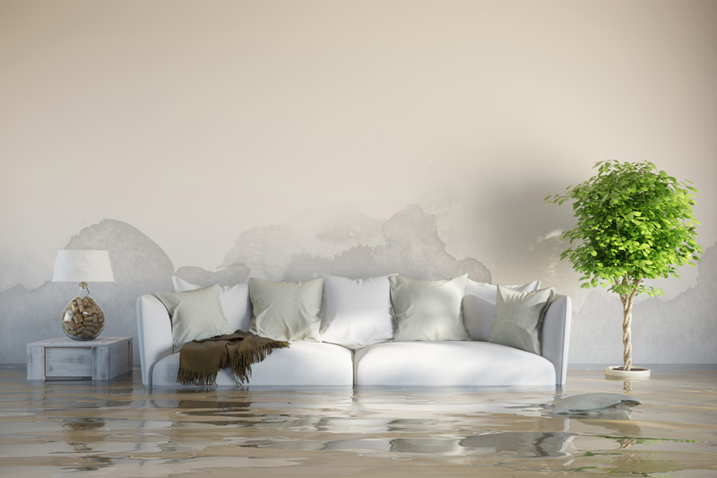 Couch Water Damage