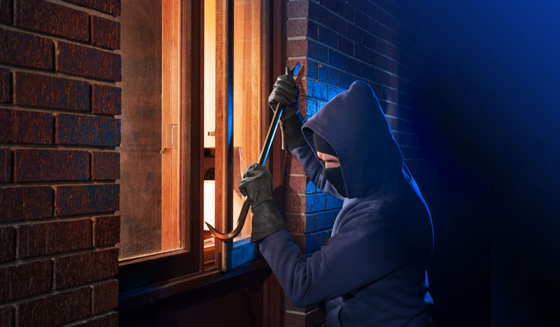 burglar-window